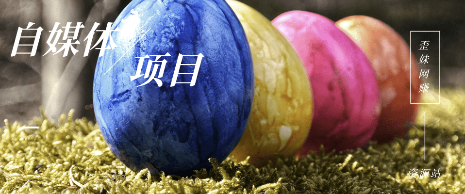 分类-自媒体赚钱网赚项目-副业赚钱-互联网创业-资源整合金韵网赚